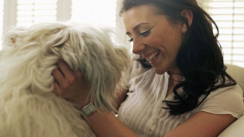 El canto del grillo - En voz alta - Animales de compañía: ¿los tratamos cómo se merecen? - Escuchar ahora