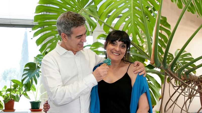 Memoria de delfín - Madrugada de bosques encantados y habitados - 13/06/16 - escuchar ahora