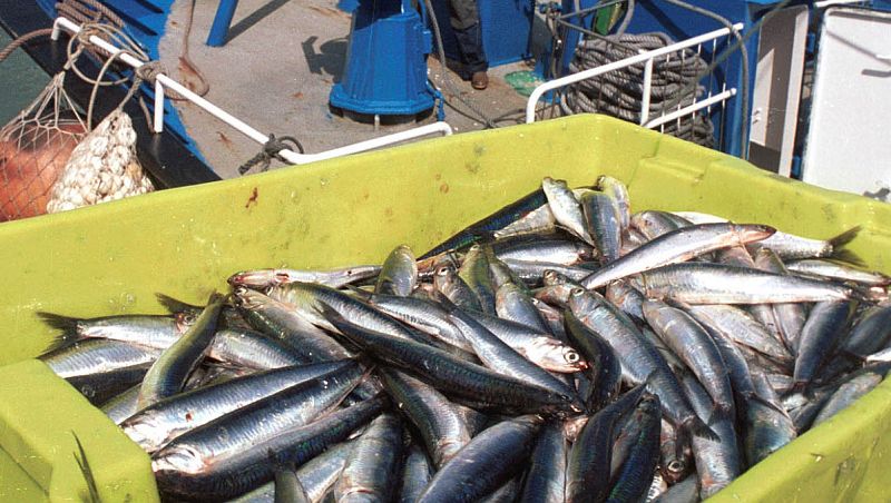 Agro 5 - La pesca es sostenible - 18/6/16 - Escuchar ahora