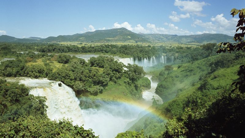 Entre paréntesis - 185 personas asesinadas por defender el medioambiente - Escuchar ahora