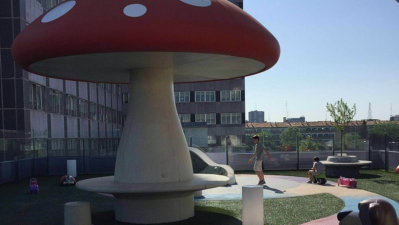 Las mañanas de RNE - La Unidad Móvil visita El jardín de mi hospi en la azotea del Hospital La Paz de Madrid - Escuchar ahora