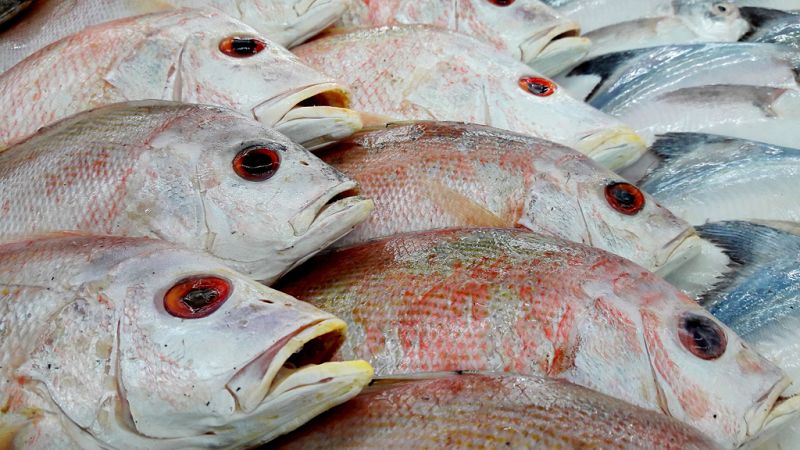 España vuelta y vuelta - Una 'app' para identificar el pescado de temporada - Escuchar ahora