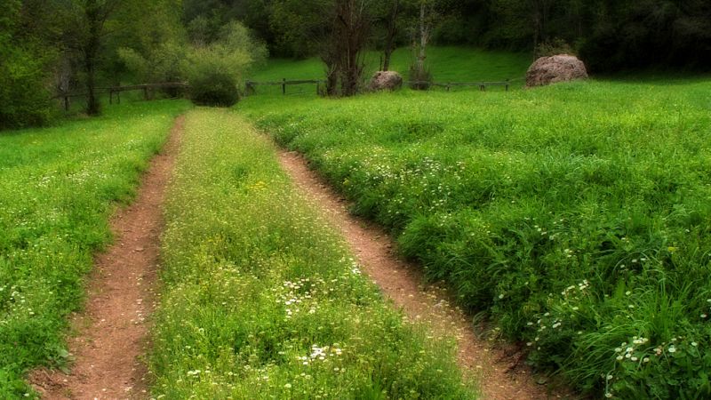 España vuelta y vuelta - 258 días para el Año Jubilar Lebaniego - Escuchar ahora