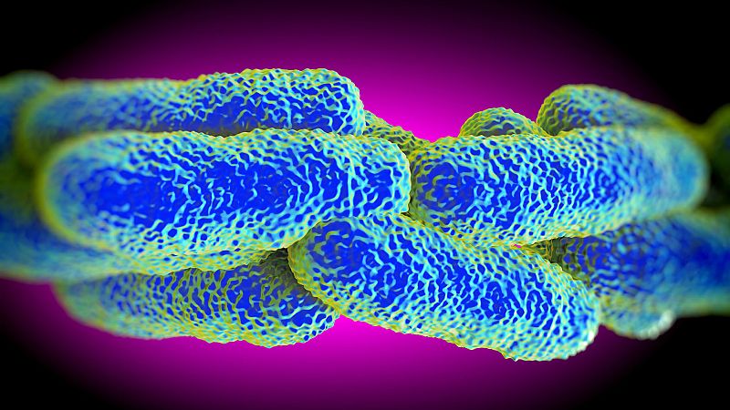 A su salud - Legionelosis - 05/09/16 - Escuchar ahora