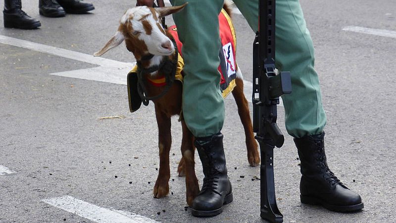 Esto me suena. Las tardes del Ciudadano García - La cabra de la legión se jubila - Escuchar ahora