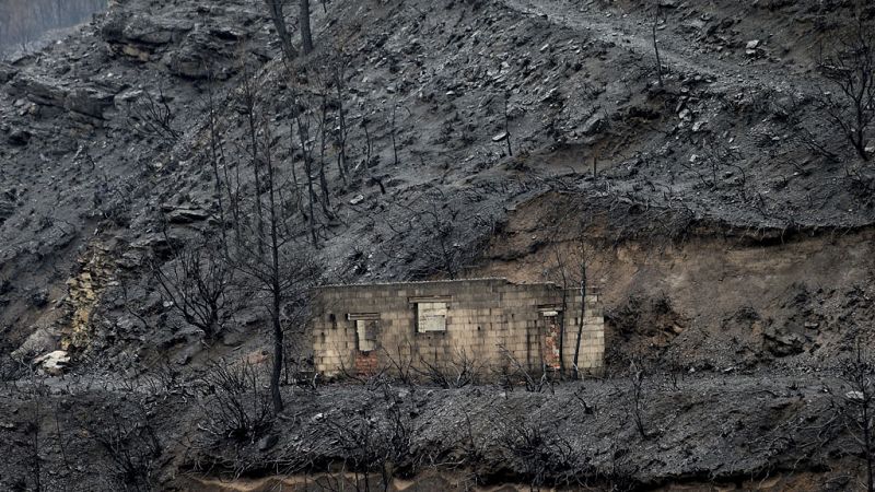 Esto me suena. Las tardes del Ciudadano García - La labor de los científicos después de un incendio - Escuchar ahora