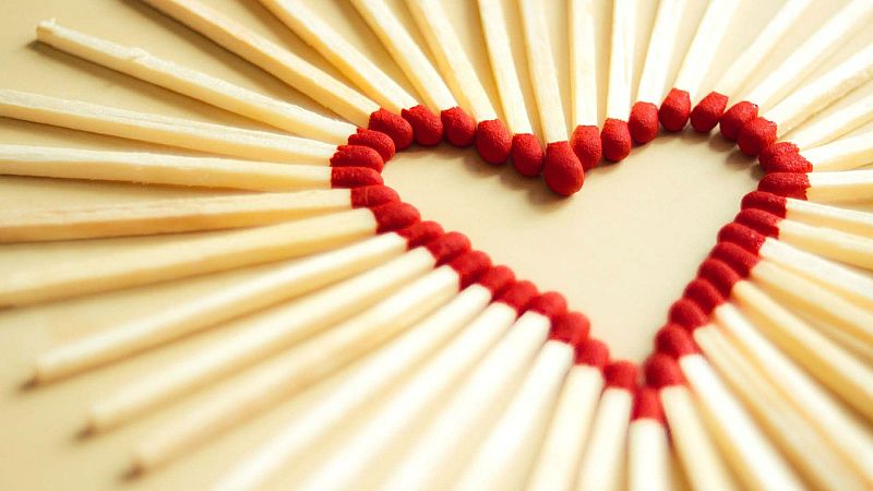 Memoria de delfín - El Corazón, con buen gusto - 26/09/16