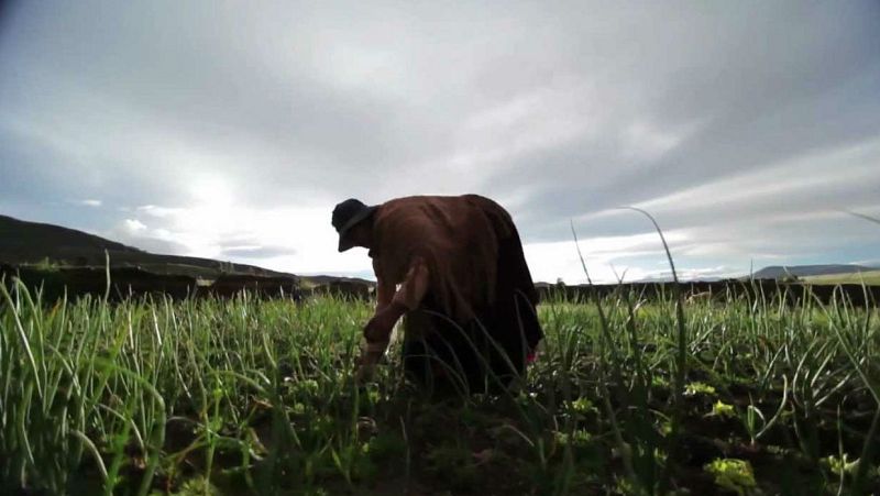 Las cuñas de RNE - La mujer rural en 'Memoria de delfín' - Escuchar ahora