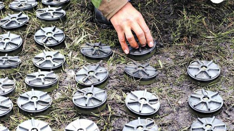 Asia hoy - Un mundo minado - 23/11/16 - Escuchar ahora