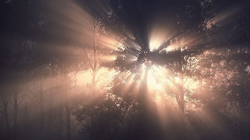 Viaje a lo desconocido - Meigas, espiritismo y Santa Compa�a