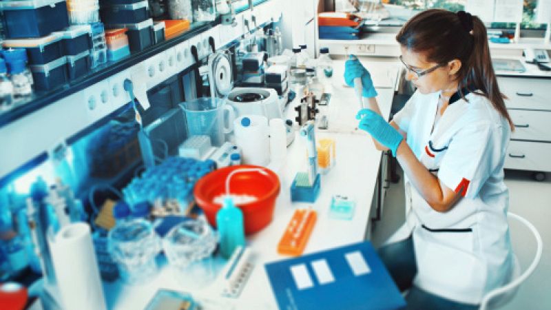 Punto de enlace - Un 70% de los científicos emigrados regresaría a España si tuviera trabajo - 23/12/16