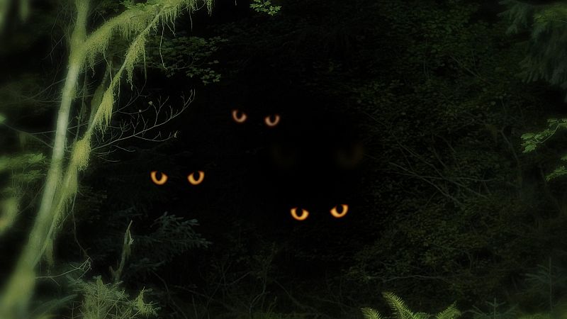 La vuelta al mundo en 80 enigmas - De otro mundo, primera parte