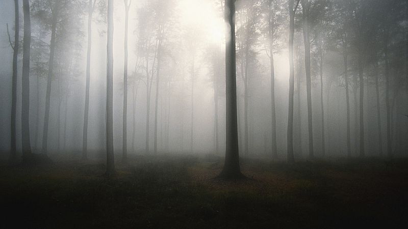 Quinta dimensi�n - La atl�ntida (segunda parte)