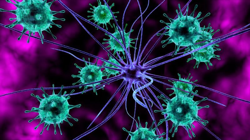 Las mañanas de RNE - Una inmersión en los trastornos del cerebro con el Dr. Muntané - Escuchar ahora