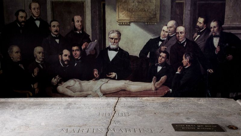 De lo más natural - Arte y carne: cómo influye la ciencia en el arte - 19/02/17