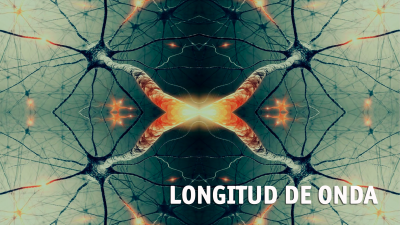Longitud de onda - Neuronas espejo - 24/02/17 - escuchar ahora