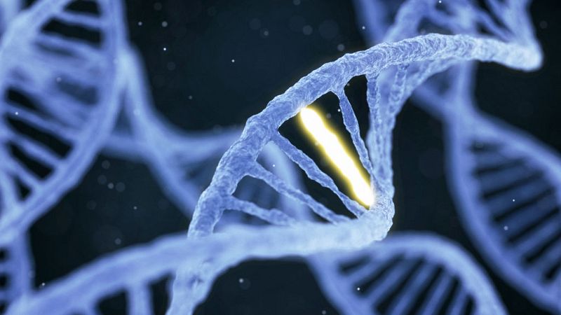 De lo más natural - ¿Sabes cuántas nacionalidades hay en tu ADN? - 26/02/17 - escuchar ahora