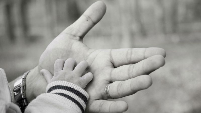 Memoria de delfín - Padres, en todas sus formas - 13/03/17