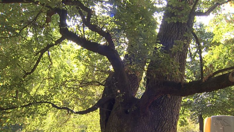 Juntos paso a paso - 25/03/17 - escuchar ahora