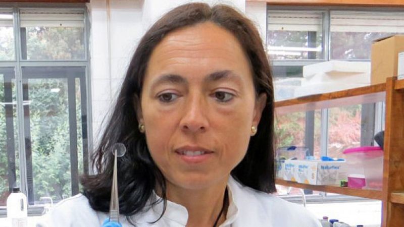 Marca España - Lentillas españolas únicas en el mundo