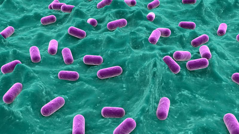 Onda Universitas - ¿Hay un órgano invisible en nuestro cuerpo? - 25/05/17 - Escuchar ahora