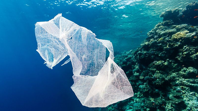 No es un día cualquiera - Los océanos - Escuchar ahora