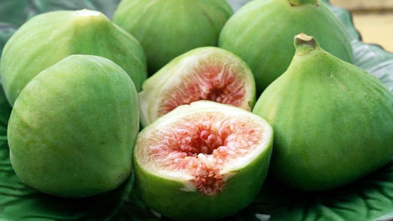 Alimento y salud - Transplante de heces e higos - 02/07/17