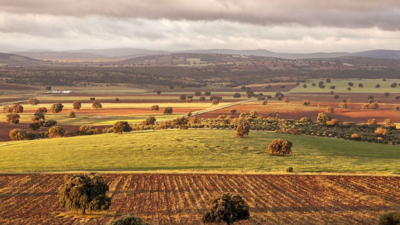 Entre paréntesis - La polémica de las 'tierras raras'