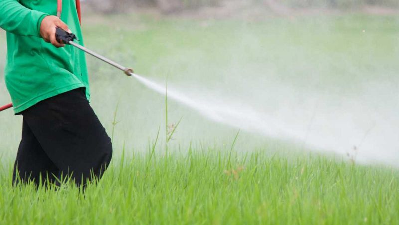 Europa abierta - UPA: "El glifosato es económico y eficaz"