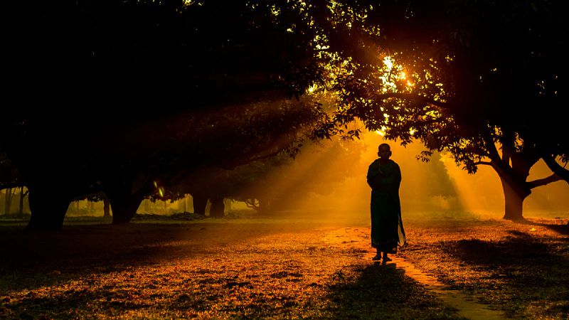 N�madas - N�madas con causa - 19/11/17 - escuchar ahora