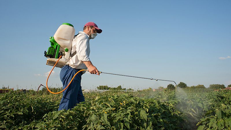 Europa abierta - El Parlamento Europeo pierde la batalla del glifosato
