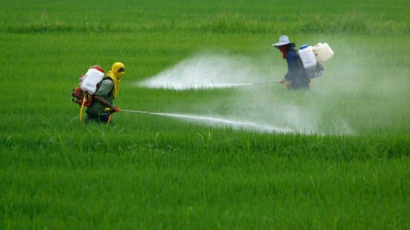 Agro 5 - Luz verde al glifosato y la PAC post 2020 - 02/12/17 - Escuchar ahora