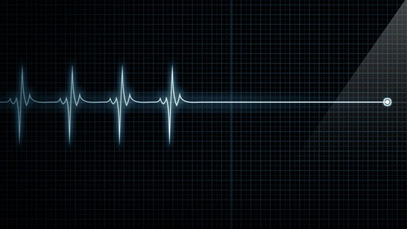 Memoria de delfín - Inmortalidad y criopreservación: la prolongación de la vida - 19/02/18 - escuchar ahora