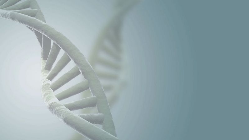 El canto del grillo - ¿Por qué nuestro cuerpo es así?