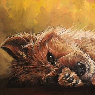 Betsy (Rubem Fonseca)