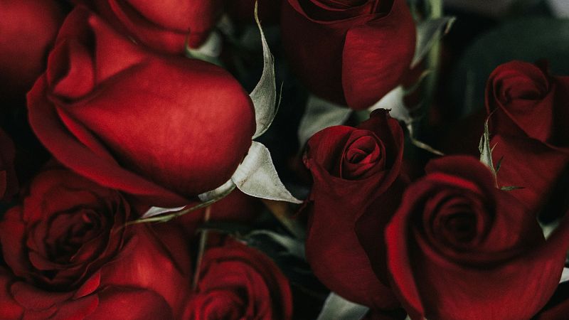 La zarzuela - Ruperto Chapí - 21/03/09