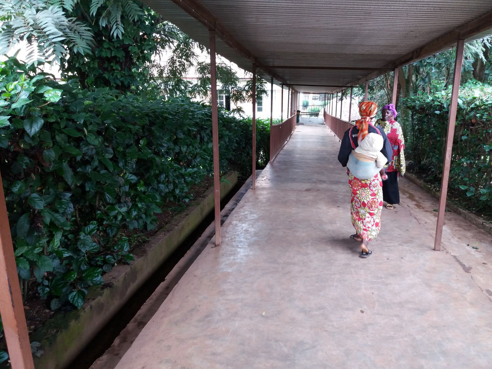 Panzi, el hospital de las mujeres rotas en RDCongo