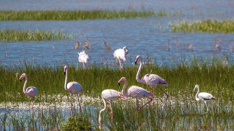 Radio 5 Actualidad - 20 años después, la rotura de la balsa de Aznalcóllar es un mal sueño - Escuchar ahora