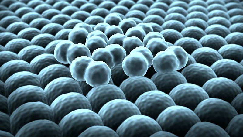 Cita previa en R5 - Nuevas técnicas de terapia celular aplicadas a enfermedades neurológicas - 11/05/18