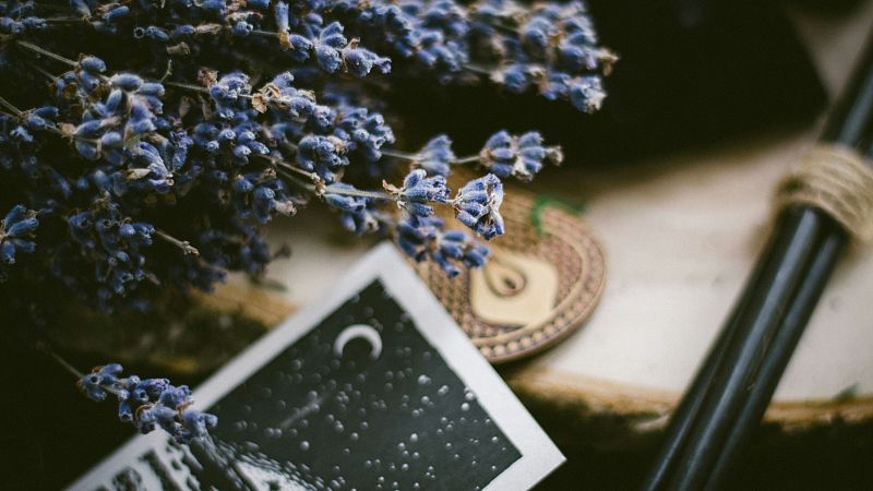 La zarzuela - La Bruja I - 07/02/09