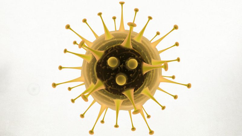 Las mañanas de RNE - El apasionante mundo de la virología según José Antonio López - Escuchar ahora