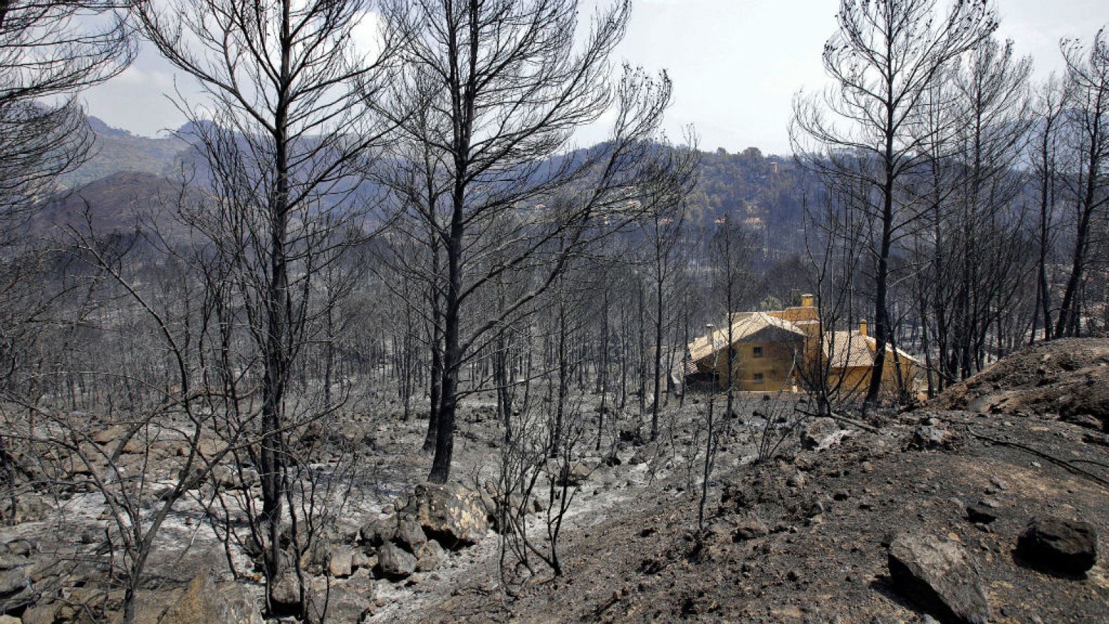 Las mañanas de RNE - Alcalde de Llutxent: "Estamos esperanzados, esto hay que olvidarlo" - Escuchar ahora