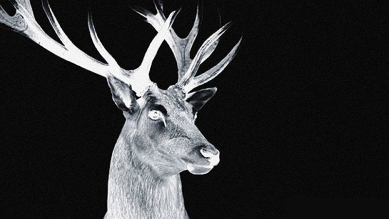 Noches de verano - 'Los Caín', de Enrique Llamas, o los secretos de la España profunda - Escuchar ahora