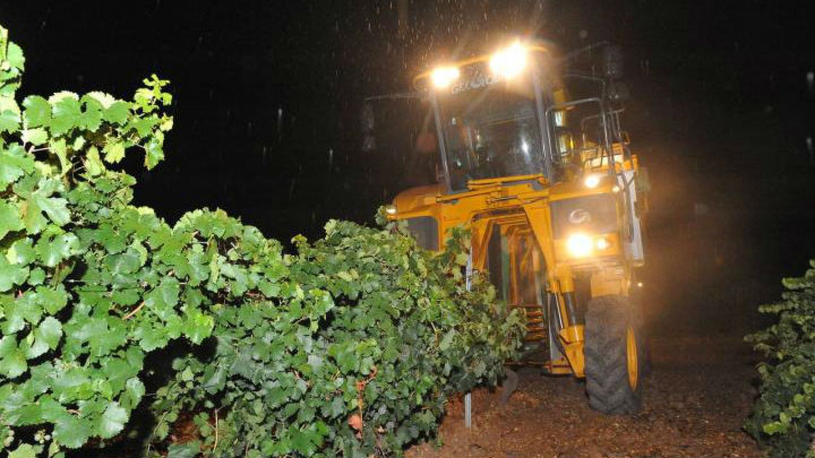 Un laboratorio en mi cocina - Vendimia nocturna - 30/9/18 - Escuchar ahora