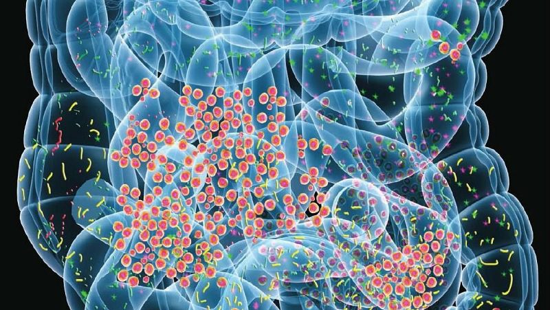 Alimento y salud - Microbioma. Alimentación en la menopausia - 4/11/18 - Escuchar ahora