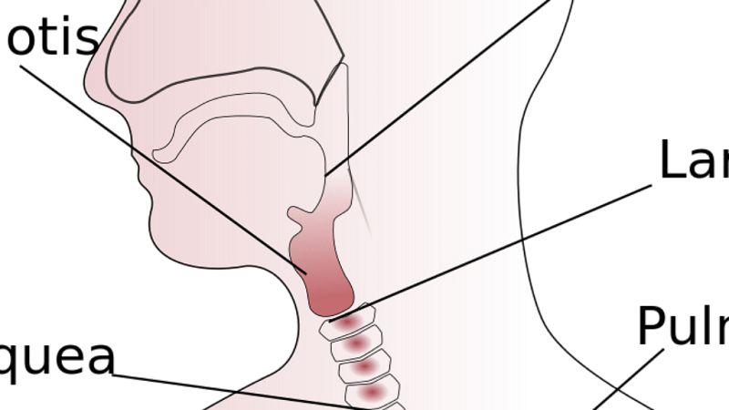 A su salud - Consulta de disfagia en el Hospital de Móstoles - 21/12/18 - Escuchar ahora