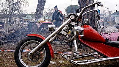 14 horas - Los ping�inos llegan a Valladolid - escuchar ahora