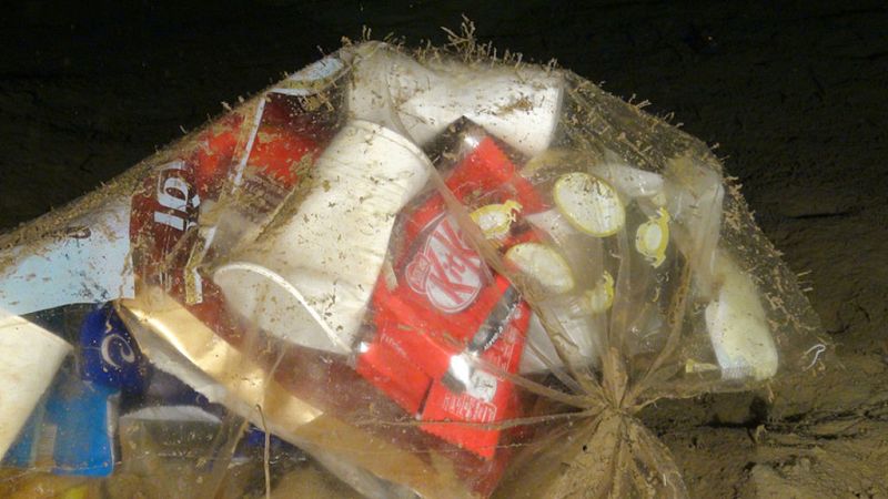 Las mañanas de RNE con Íñigo Alfonso - Helena Álvarez (Oceana): "Se calcula que en 2050 habrá en el mar más plásticos que peces"