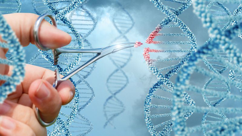 El bosque interior - ¿Un mundo feliz, al fin?  - 05/02/19 - Escuchar ahora