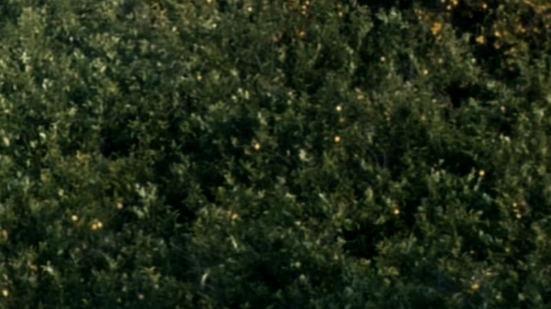 Artesfera en Radio 5 - 'En esas tierras', de Nayra Sanz Fuentes - 26/02/19 - Escuchar ahora